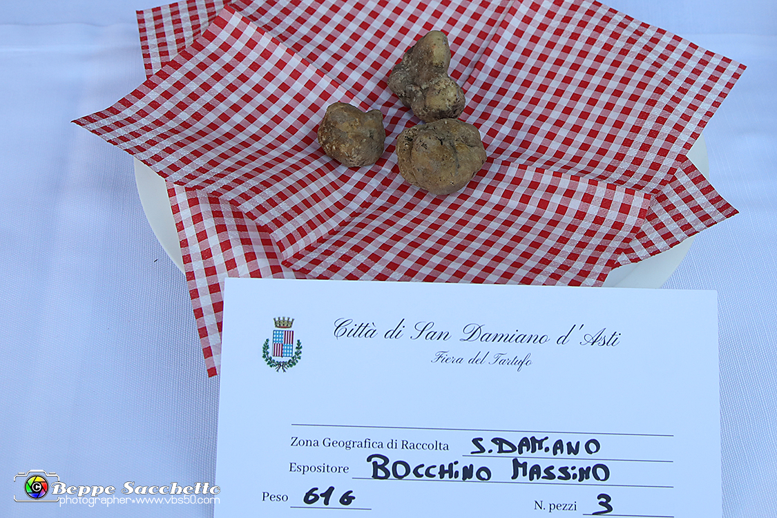 VBS_5576 - 10.ma Fiera Nazionale del Tartufo e Fiera dei Santi.jpg